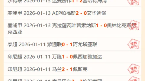 拜仁续约格雷茨卡或受帕利尼亚转售影响